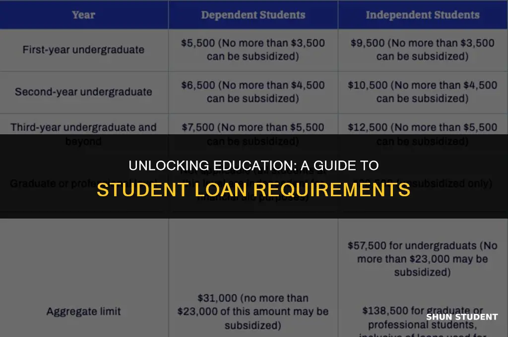 what are the requirements to take out a student loan