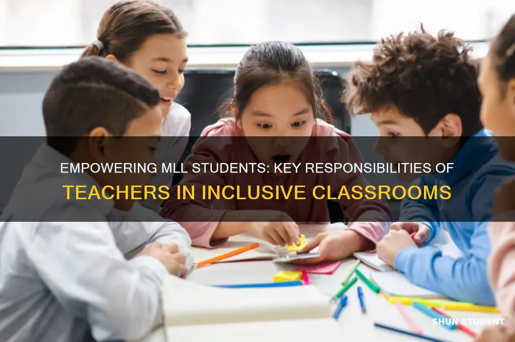 what are the responsibilities of a teacher for mll students