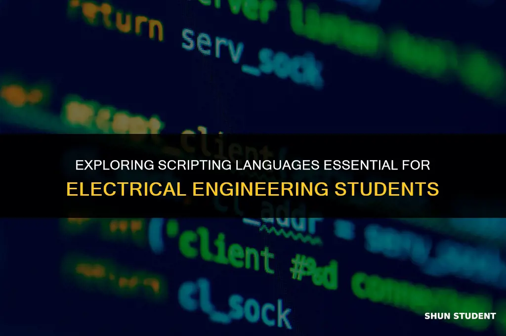 what are the scripting used for ee students