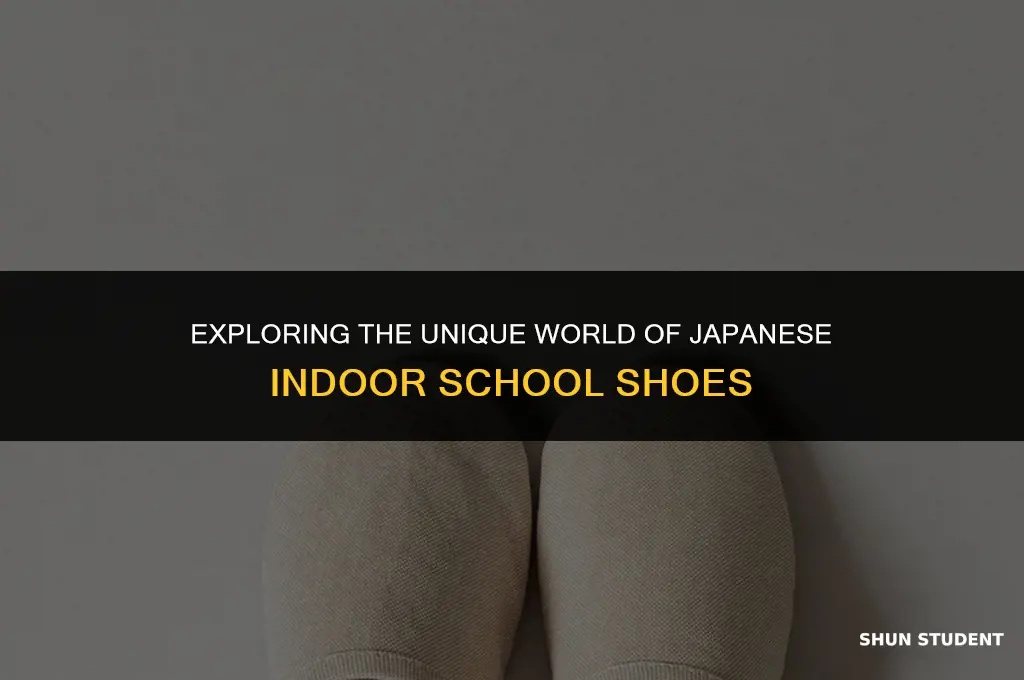 what are the shoes that japanese students use indoors called