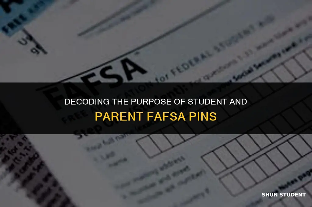 what are the student and parent fafsa pins used for
