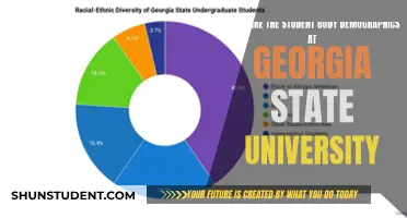 Unveiling Georgia State's Student Diversity: A Snapshot of the Campus Population