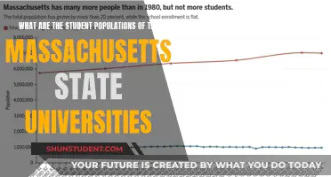 Unveiling Massachusetts State Universities' Student Diversity: A Comprehensive Overview