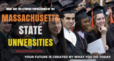Massachusetts State Universities: Student Populations Examined