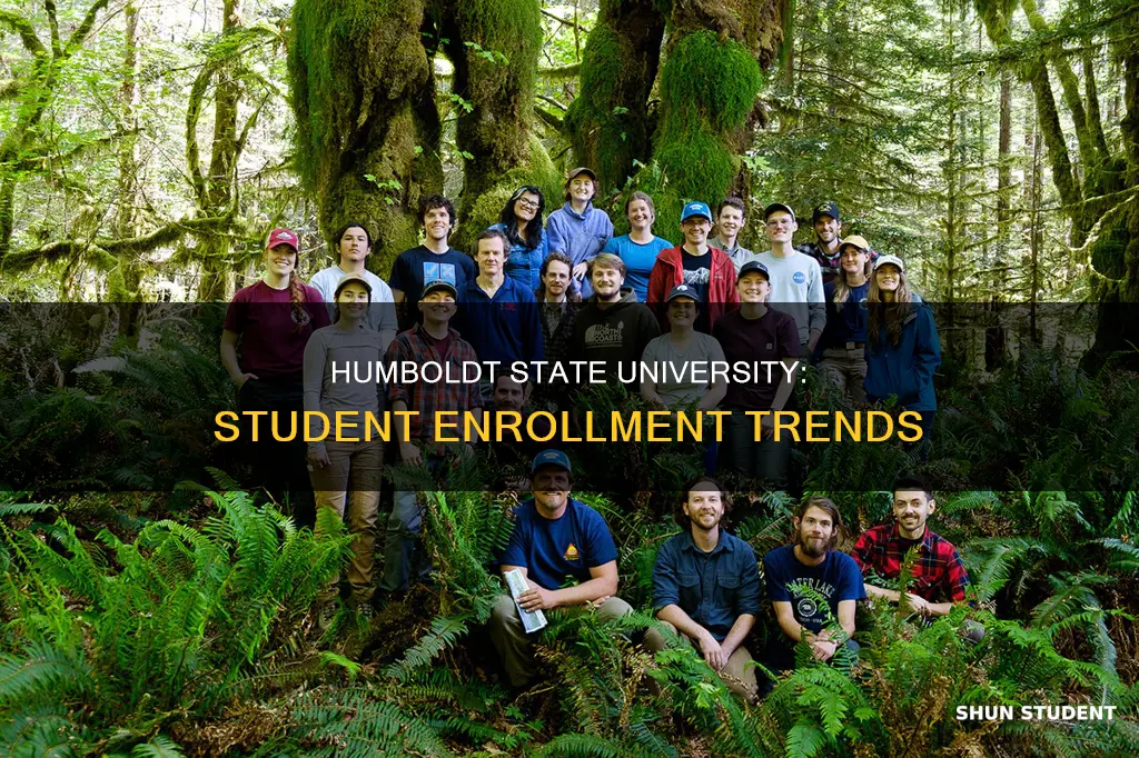what are the students enrollment humboldt state university