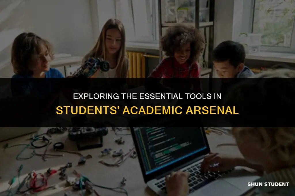 what are the students most likely using