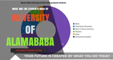 Diversity at Alabama: Exploring the Student Body