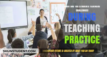 Navigating Teaching Practice: Key Challenges for Students and Teachers