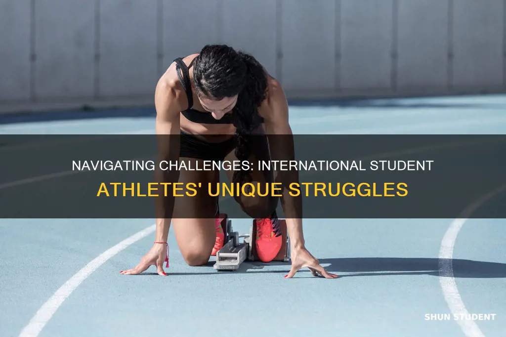 what are the unique challenges that international student athletes face