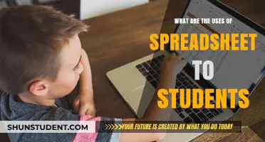 Exploring the Versatile Uses of Spreadsheets for Students