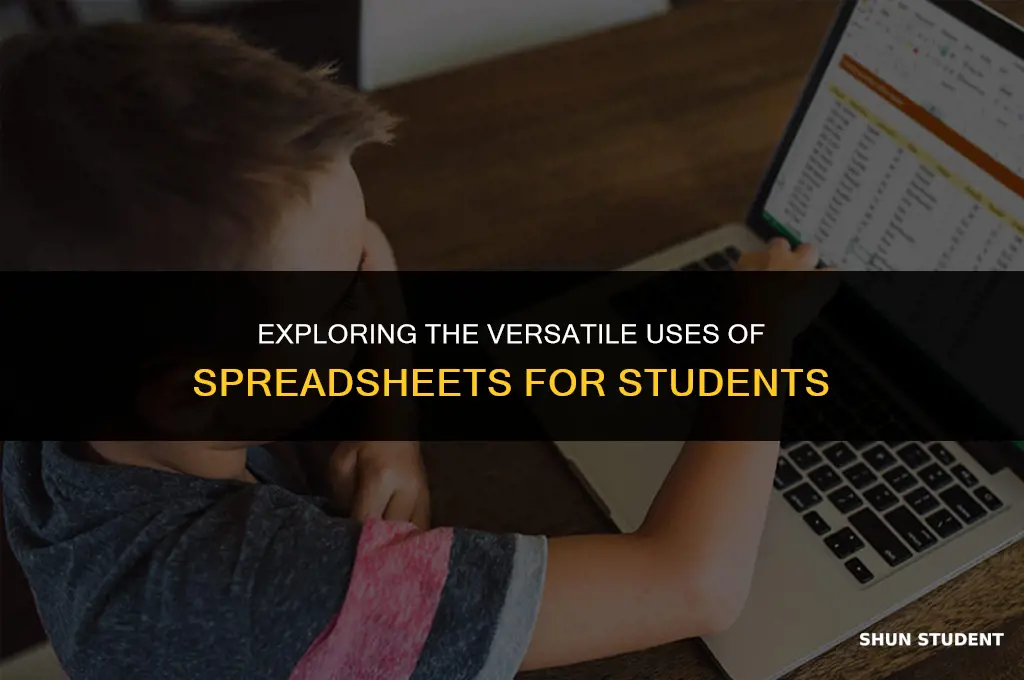 what are the uses of spreadsheet to students