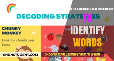 Decoding the Secrets: Strategies Students Use to Identify Words