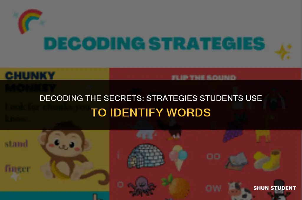 what are two strategies that students use to identify words