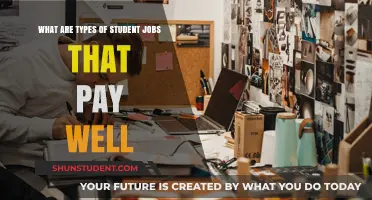 Lucrative Student Jobs: What Are Your Options?