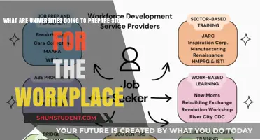 Preparing Students for Work: University Initiatives
