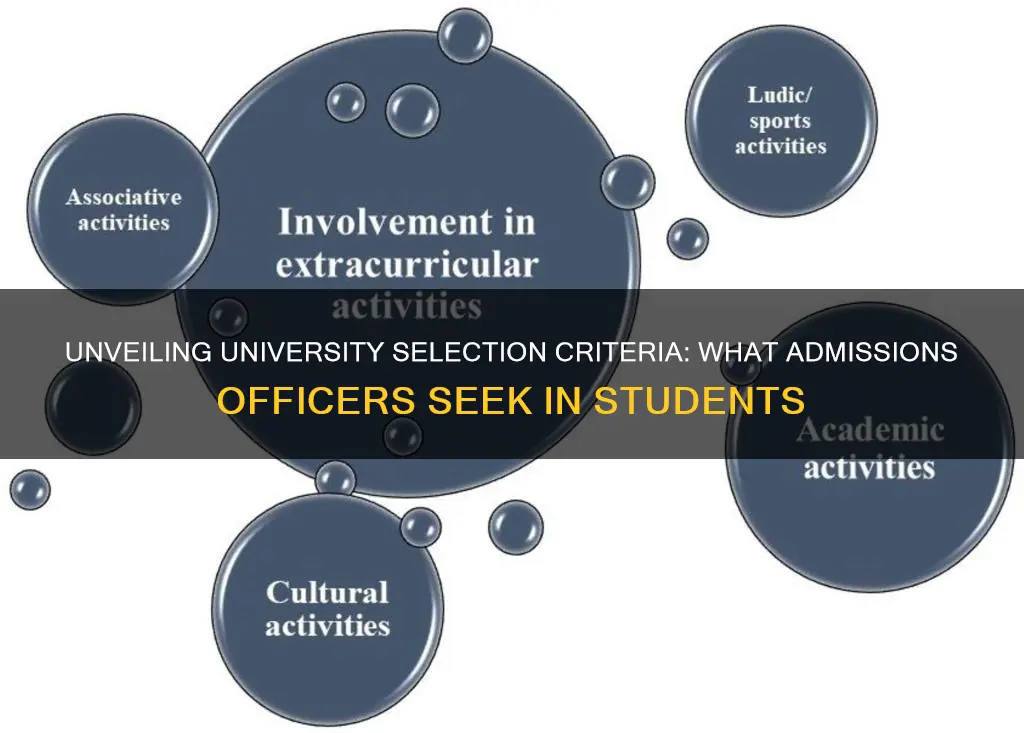 what are universities looking for in a student