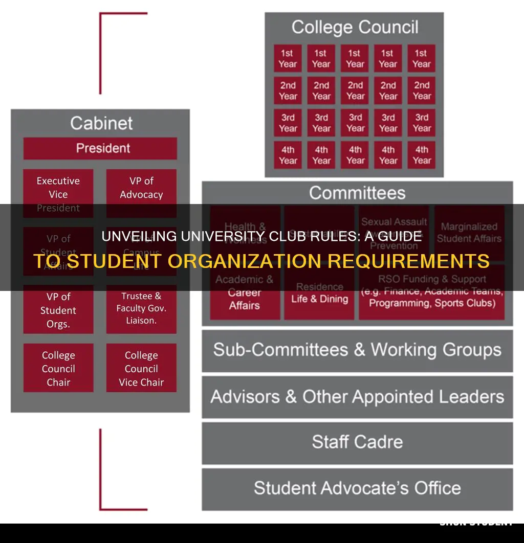 what are universities requirements for student clubs