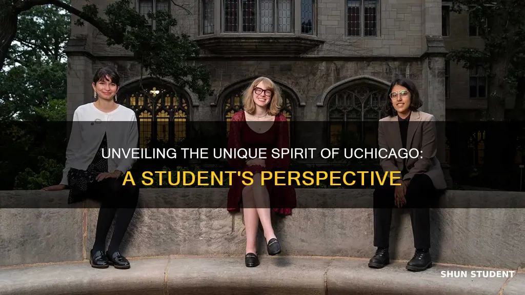 what are university of chicago students like