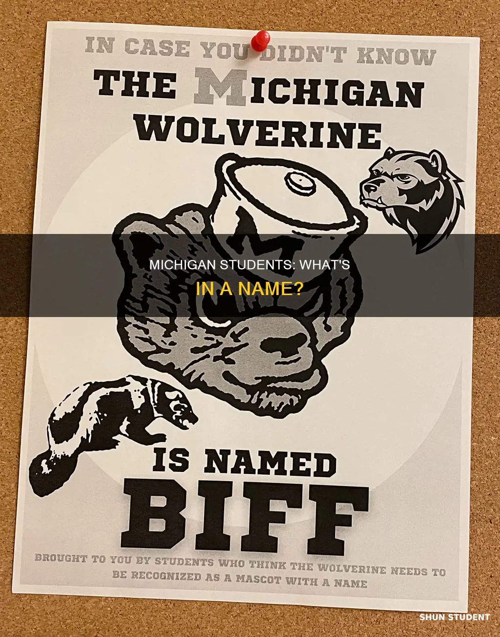 what are university of michigan students called