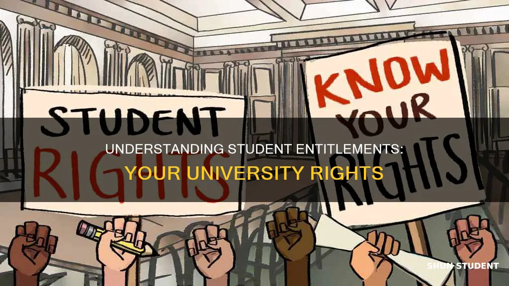 what are university students entitled to