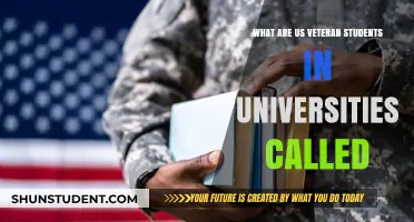Veteran Students: A Unique University Experience