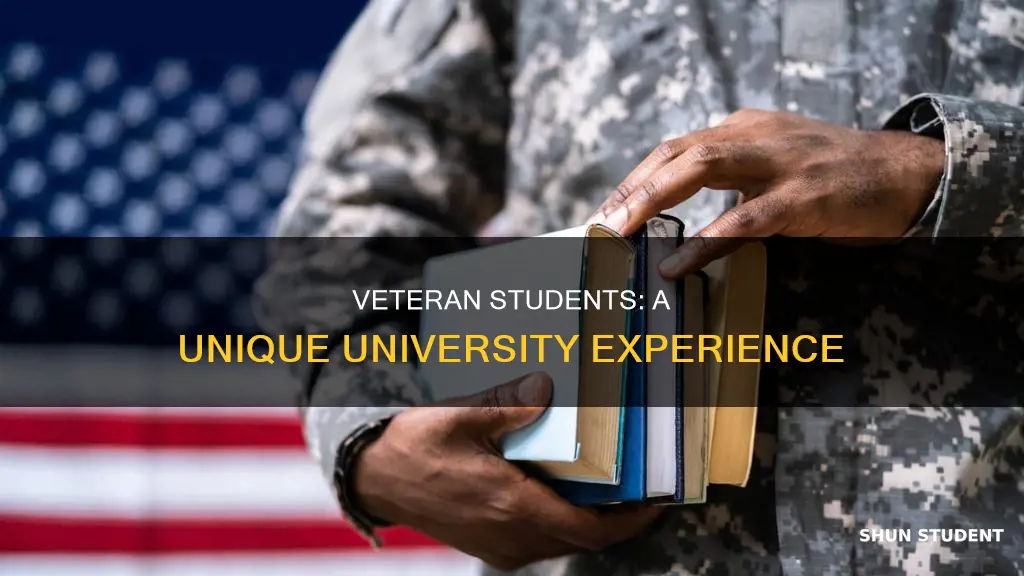 what are us veteran students in universities called