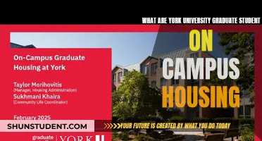 York Grad Housing: A Look at Campus Life and Amenities