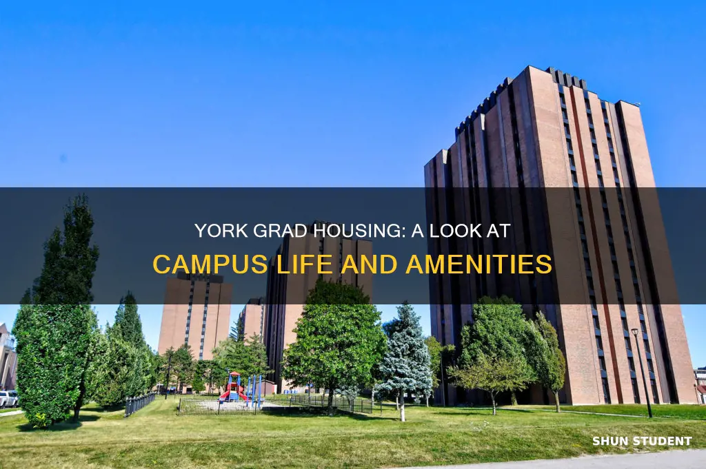 what are york university graduate student on campus housing