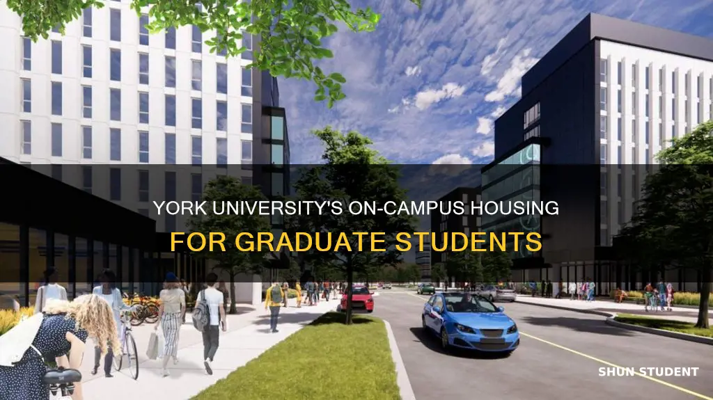 what are york university graduate student on campus housing