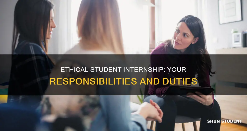 what are your ethical responsibilities as a student intern