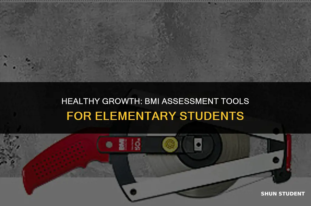 what assessment is used to test bmi for elementary students