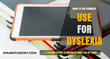 Empowering Dyslexic Students: Tools and Strategies for Academic Success