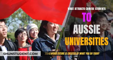 Unveiling the Appeal: Why Chinese Students Choose Aussie Universities