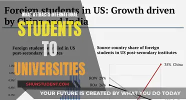 Global Talent: Unlocking the Appeal of International University Destinations