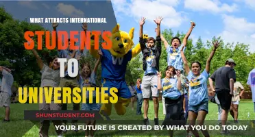 Universities' Appeal: Why International Students Choose Them