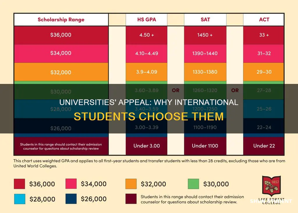 what attracts international students to universities