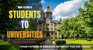 Unveiling the Secrets: What Captivates Students to Universities