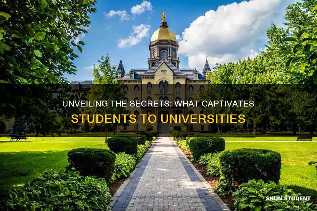 what attracts students to universities