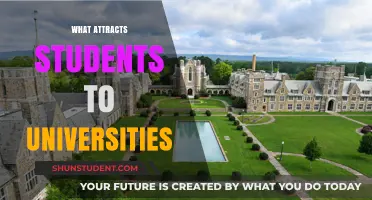 The Allure of University: What Draws Students In?