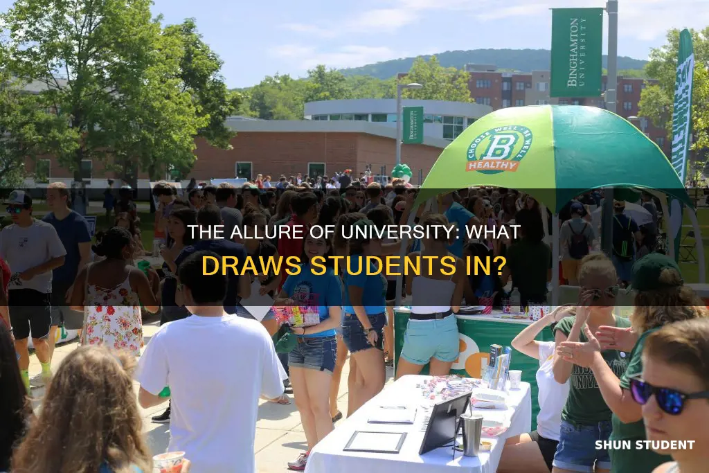 what attracts students to universities
