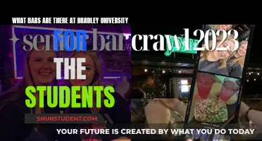 Exploring the Bars at Bradley: A Student's Guide to Campus Nightlife