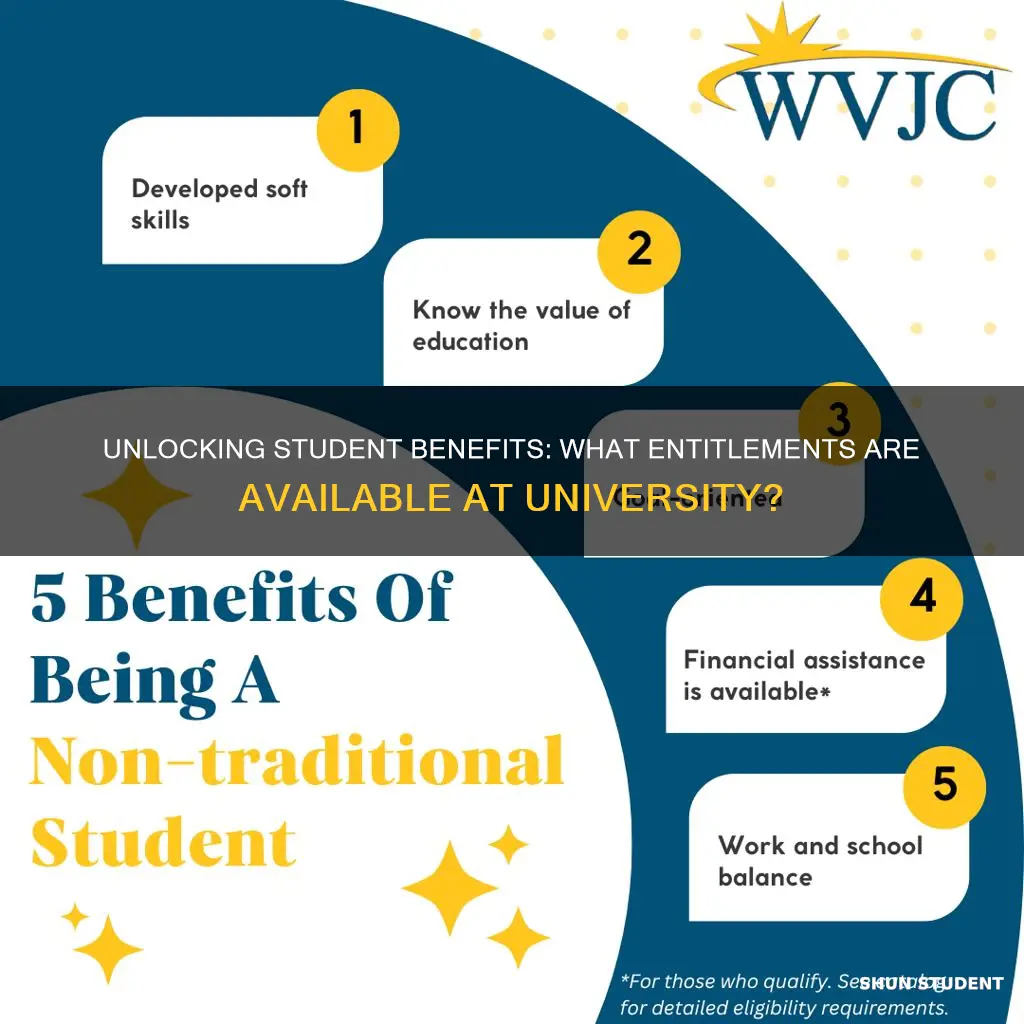 what benefits am i entitled to as a university student