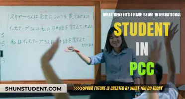 International Students: Advantages at PCC
