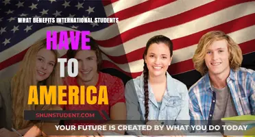 International Students: Benefits to America's Education System
