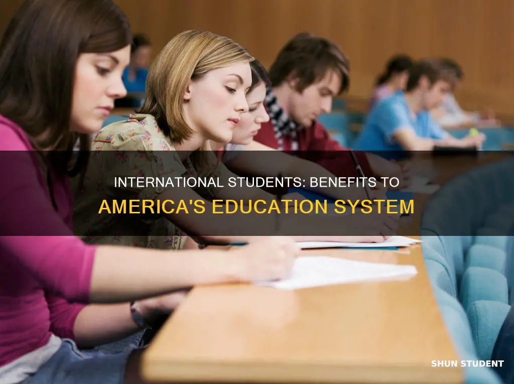 what benefits international students have to america