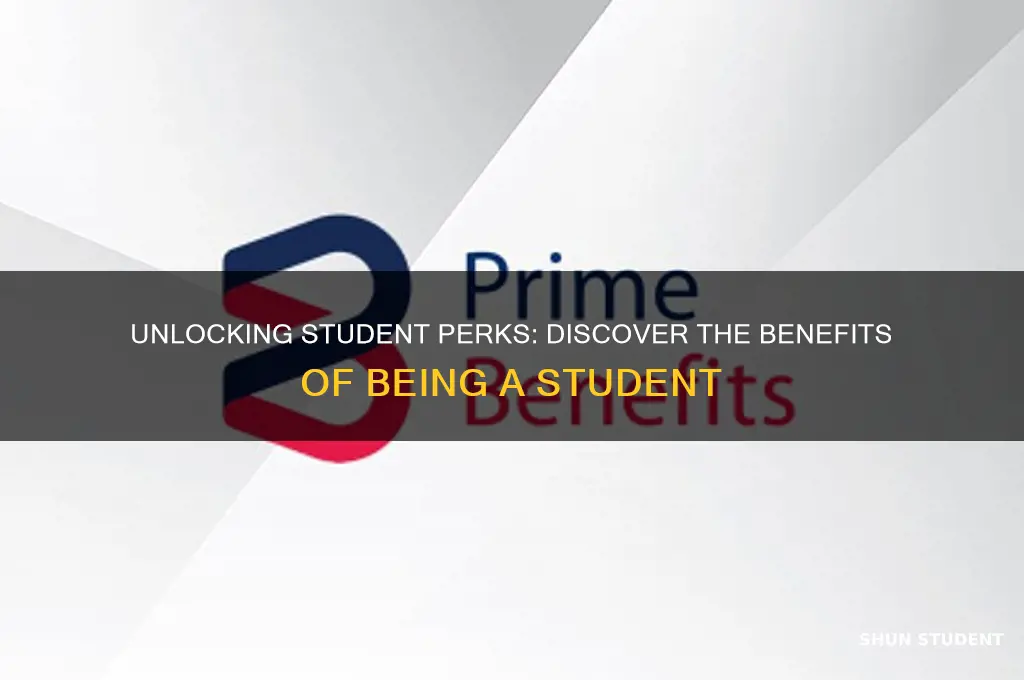 what benefits will i get as a student
