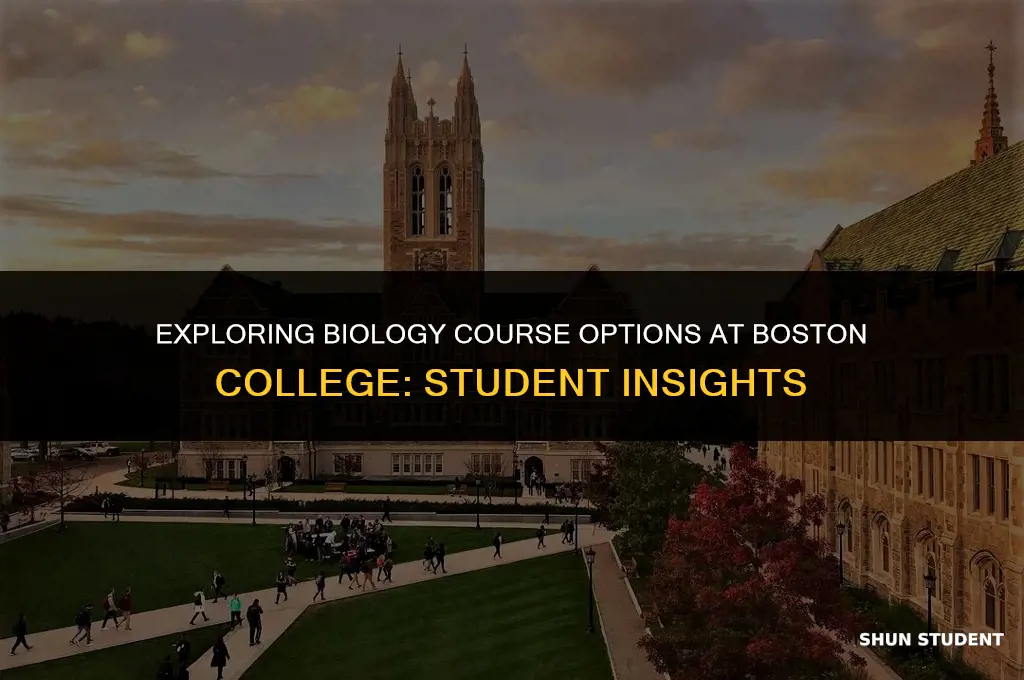 what bio classes to take at boston college student feedback