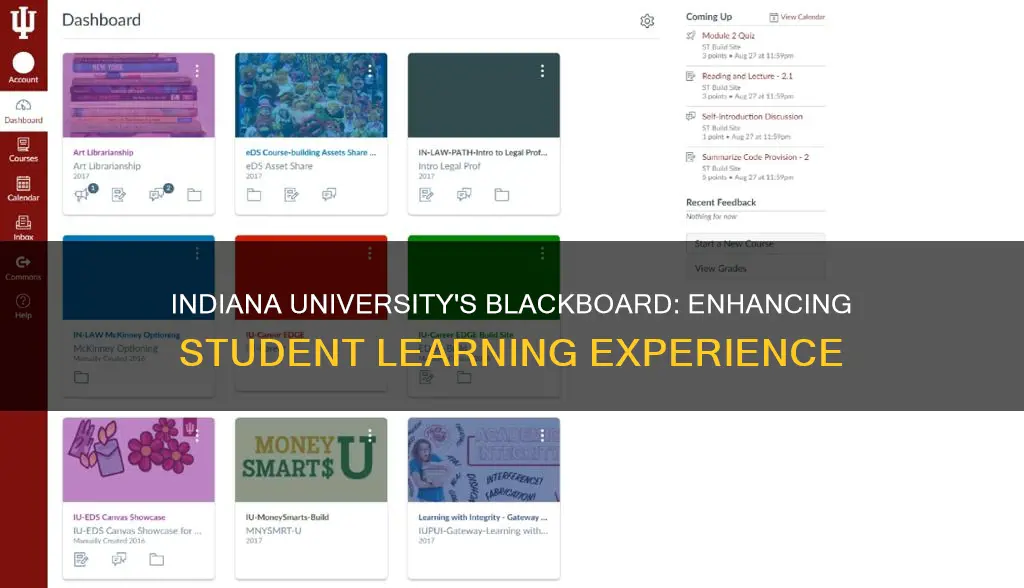 what blackboard program does indiana university use for students