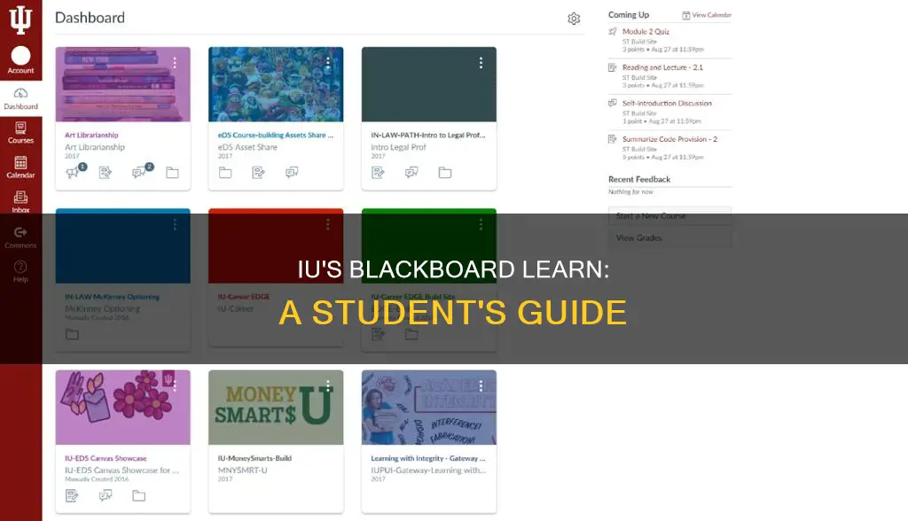 what blackboard program does indiana university use for students