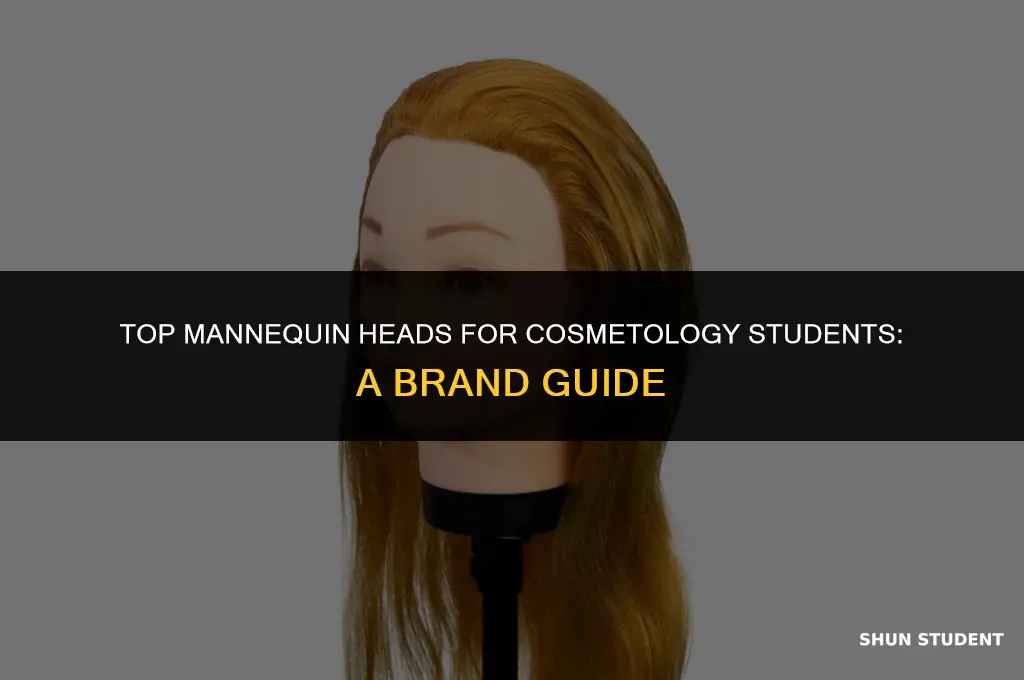 what brand mannequin head do cosmetology students use